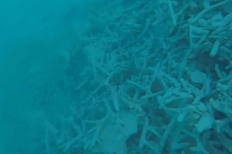 中国人の密漁船によってサンゴ礁が破壊されている